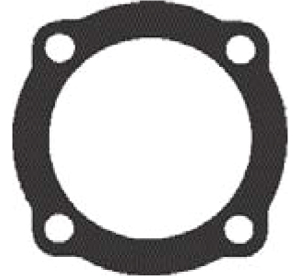 valvebodygasket 310800